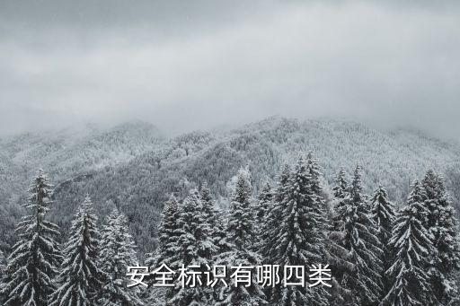 安全标识有哪四类