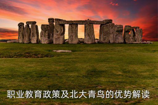 职业教育政策及北大青鸟的优势解读