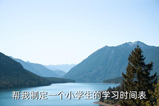 帮我制定一个小学生的学习时间表