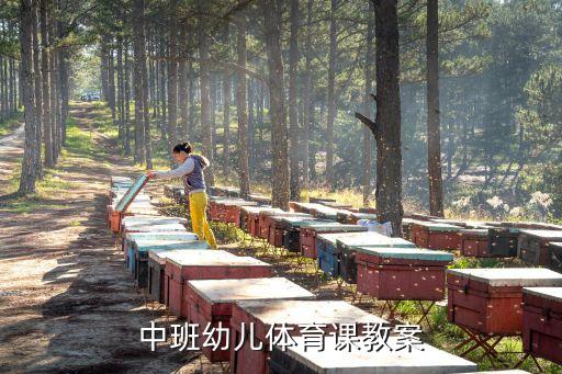 中班幼儿体育课教案