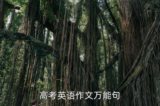 高考英语作文万能句