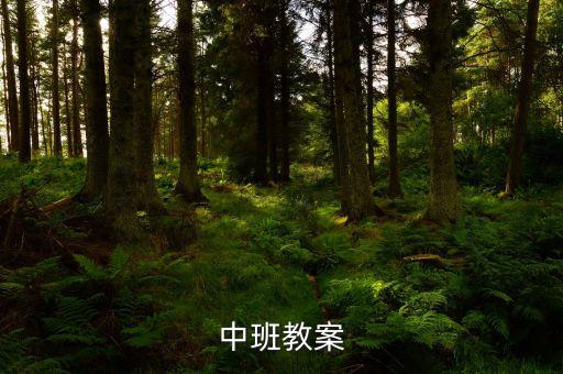 中班教案