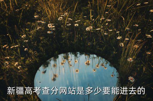新疆高考查分网站是多少要能进去的