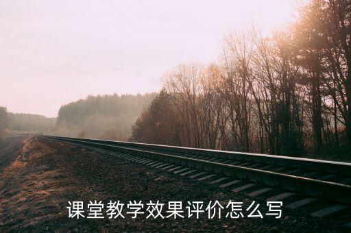 课堂教学效果评价怎么写