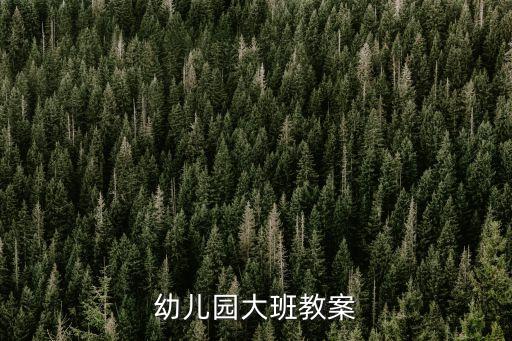 幼儿园大班教案