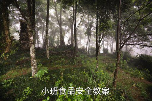 小班食品安全教案