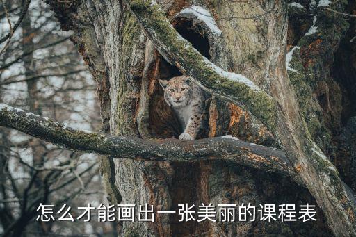 怎么才能画出一张美丽的课程表