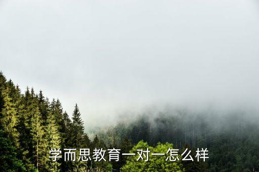 学而思教育一对一怎么样