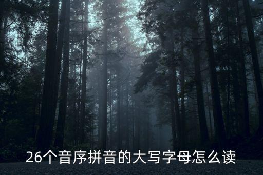 26个音序拼音的大写字母怎么读