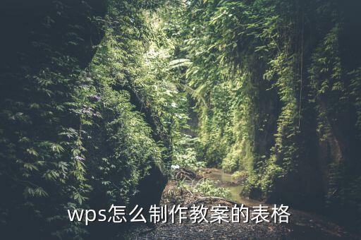 wps怎么制作教案的表格