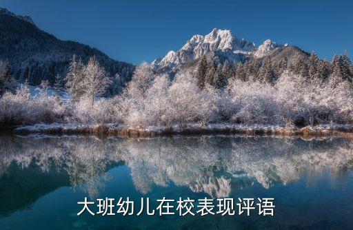 大班幼儿在校表现评语