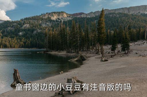 童书窗边的小豆豆有注音版的吗