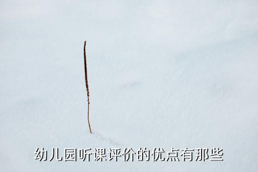 幼儿听评课评语优缺点，幼儿园听课评价的优点有那些