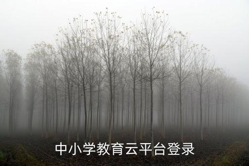 中小学教育云平台登录