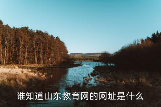谁知道山东教育网的网址是什么