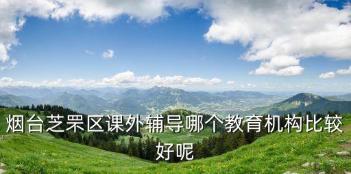 烟台芝罘区课外辅导哪个教育机构比较好呢