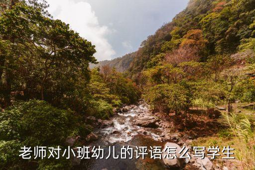 老师对小班幼儿的评语怎么写学生