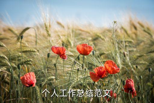 个人工作总结范文
