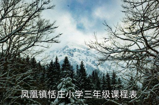 凤凰镇恬庄小学三年级课程表
