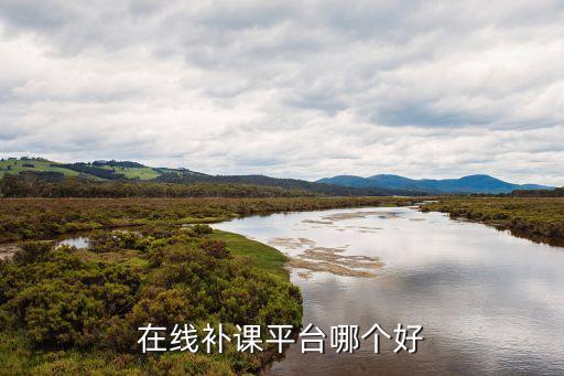 在线补课平台哪个好