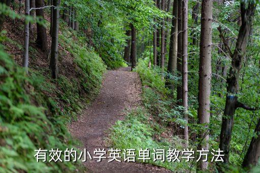 小学英语词汇的教案，小学英语单词教学的方法