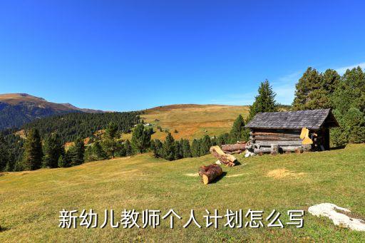 新幼儿教师个人计划怎么写