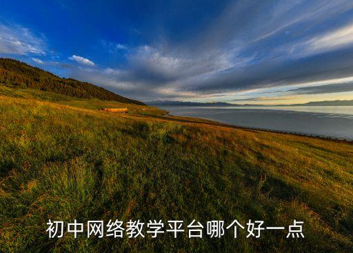 初中网络教学平台哪个好一点