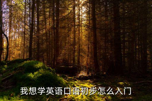 我想学英语口语初步怎么入门