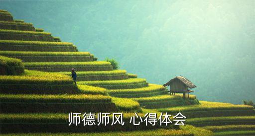 师德师风 心得体会