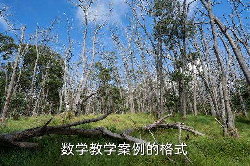 一份完整教案的格式图片大全，数学教学案例的格式