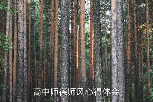 师德师风摘抄内容及心得体会，师德师风 心得体会