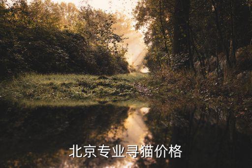 北京专业寻猫价格