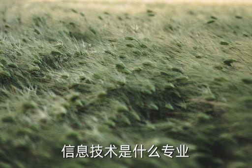信息技术专业学什么，信息技术是什么专业