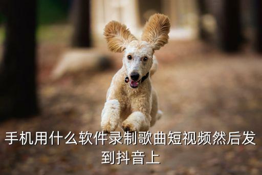 哪里有现成的视频发抖音，自己上传的抖音视频在那里找
