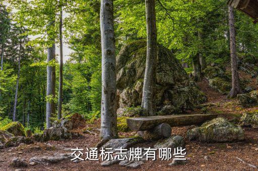 交通标志牌有哪些