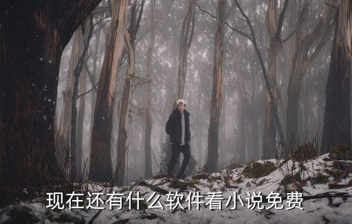 现在还有什么软件看小说免费