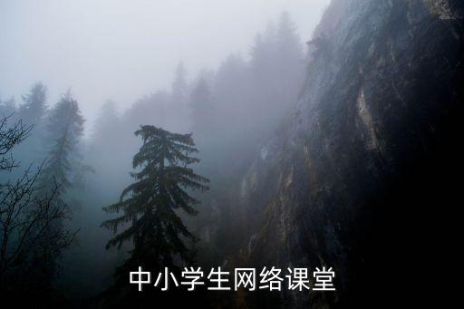 中小学生网络课堂