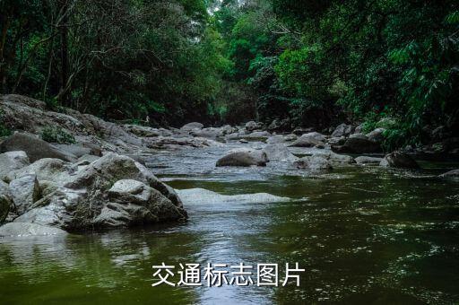 交通标志图片