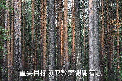 重要目标防卫教案谢谢着急