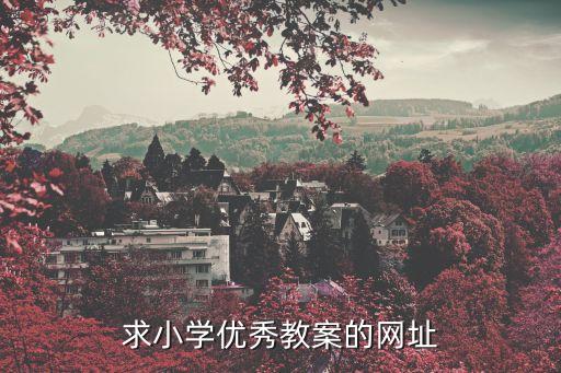 求小学优秀教案的网址
