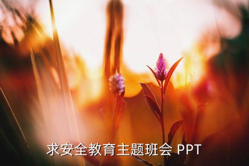 幼儿园交通安全ppt模板，幼儿园交通安全课件