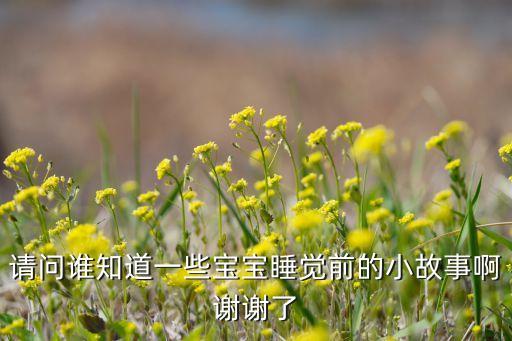 请问谁知道一些宝宝睡觉前的小故事啊谢谢了