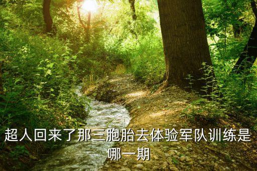 部队队史教育教案，学队章讲队史撰写红领巾提案