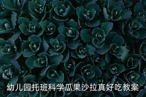 幼儿园托班科学瓜果沙拉真好吃教案