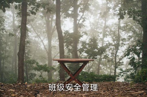 班级安全管理
