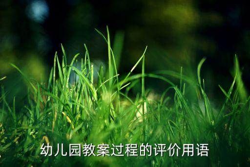 检查教案评语优缺点怎么写啊，幼儿园教案过程的评价用语