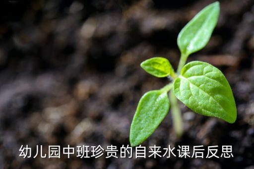 幼儿园中班珍贵的自来水课后反思