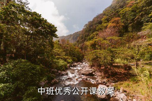 中班优秀公开课教案
