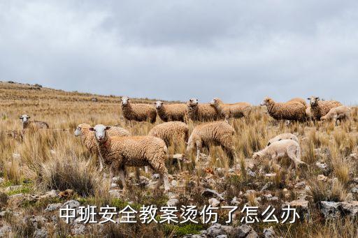 中班安全教案烫伤了怎么办