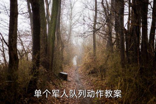 单个军人队列动作教案